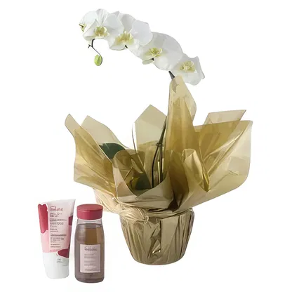 Brasil blomster-  Blomsterarrangementer bukett