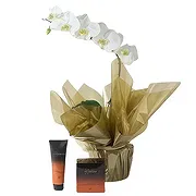 Sao Paulo Floristeria online - Paquete ideal Ramo de flores