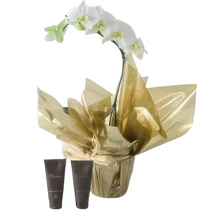 Brasil blomster-  Blomsterarrangementer bukett