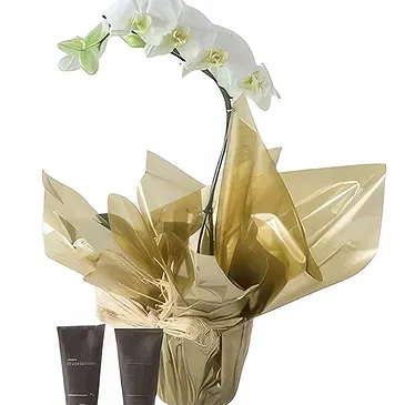 Santa Maria da Boa Vista flowers  -  Friends Choice Flower Bouquet/Arrangement