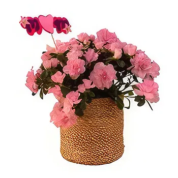 Adma flowers  -  Majesty Collection  Flower Delivery