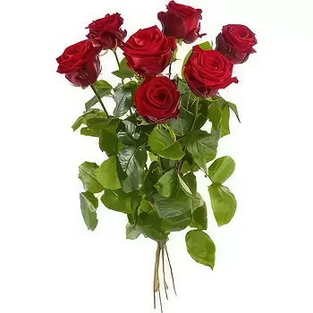 Switzerland flowers  -  Large-flowered red roses Delivery