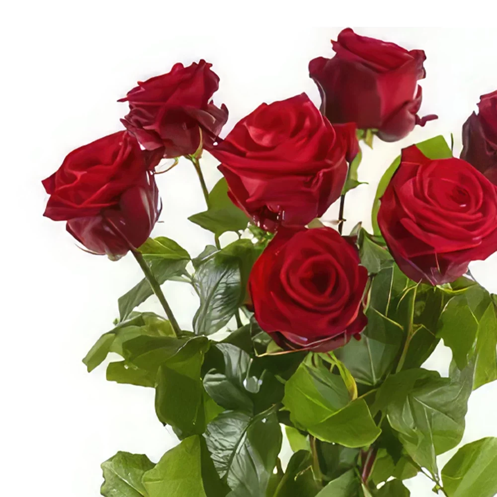 Bern kvety- Veľkokveté červené ruže Aranžovanie kytice