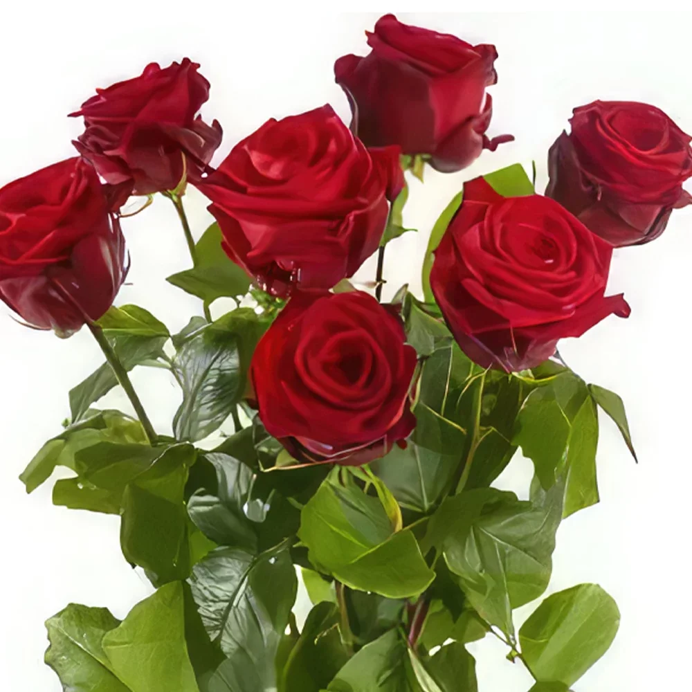 fleuriste fleurs de Bern- Roses rouges à grandes fleurs Bouquet/Arrangement floral