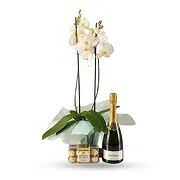 Ville internet de Dubaï Fleuriste en ligne - Grandir naturellement Bouquet