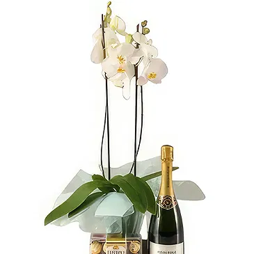 Al Shamkha flowers  -  Naturally  Grow  Flower Bouquet/Arrangement