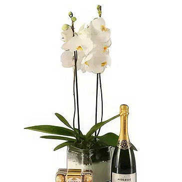 Al Shamkha flowers  -  Luxury Choice Flower Bouquet/Arrangement