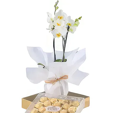 Al Shamkha flowers  -  Symbolize Love Flower Bouquet/Arrangement
