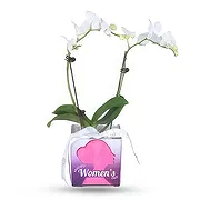 Madinat zayed online Florist - My choice Bouquet