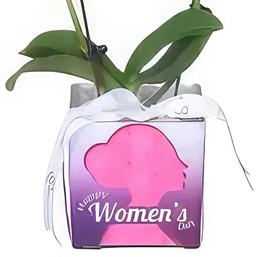 Al Shamkha flowers  -  My choice Flower Bouquet/Arrangement