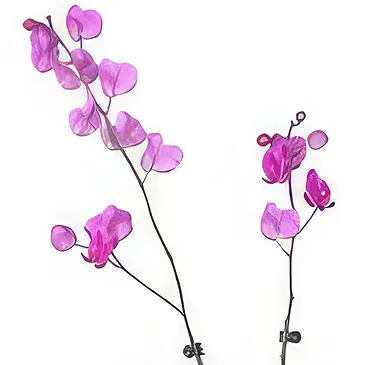 Al Shamkha flowers  -  Double Stem Flower Bouquet/Arrangement