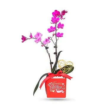 Al Shamkha flowers  -  Golden Topper Flower Bouquet/Arrangement