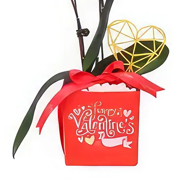 Al Shamkha flowers  -  Golden Topper Flower Bouquet/Arrangement