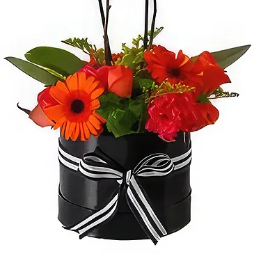 Al Shamkha flowers  -  Fantastic Plants Flower Bouquet/Arrangement