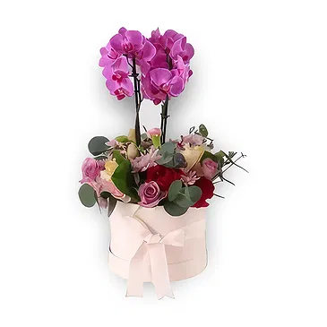 Al Shamkha flowers  -  Blossom Haven Flower Bouquet/Arrangement