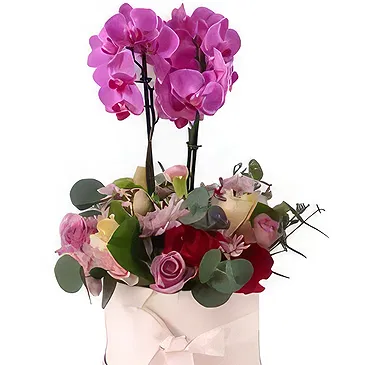 Al Shamkha flowers  -  Blossom Haven Flower Bouquet/Arrangement