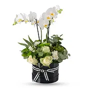 Oppdagelse hage Online blomsterbutikk - Hvit boks Bukett