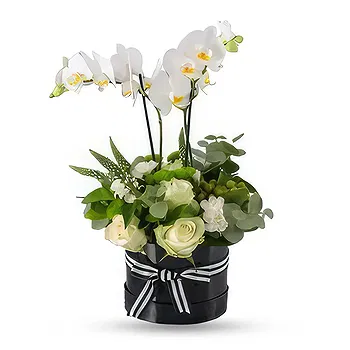 Al Shamkha flowers  -  White Box Flower Delivery