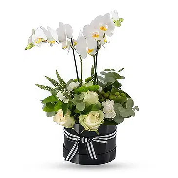 Al Shamkha flowers  -  White Box Flower Bouquet/Arrangement