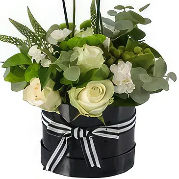 Al Shamkha flowers  -  White Box Flower Bouquet/Arrangement