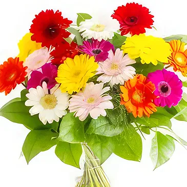 Emden flowers  -  Whispers of Spring Bouquet Flower Bouquet/Arrangement