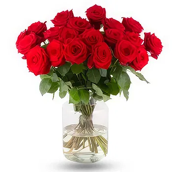 Germany flowers  -  Luminous Petals Palette Flower Delivery