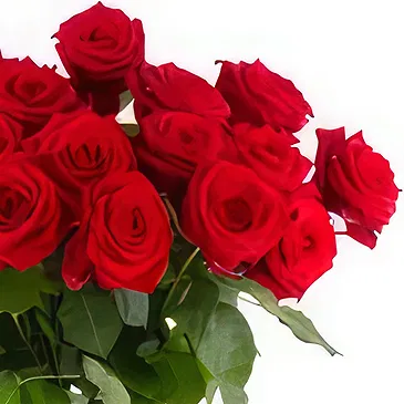 Dachau Blumen Florist- Elysian Blossom-Mischung Bouquet/Blumenschmuck