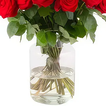 Dachau Blumen Florist- Elysian Blossom-Mischung Bouquet/Blumenschmuck