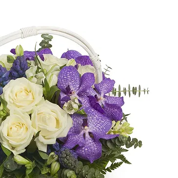 Italy flowers  -  Fresh, White & Purple Flowers Basket Flower Bouquet/Arrangement