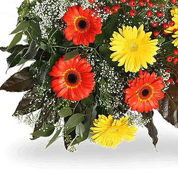 Mira flowers  -  Funeral Composition for Cemetery Flower Bouquet/Arrangement