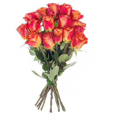 Italy flowers  -  Composition of 15 Orange Roses Flower Bouquet/Arrangement