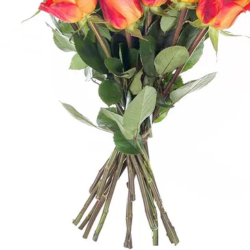 Italy flowers  -  Composition of 15 Orange Roses Flower Bouquet/Arrangement