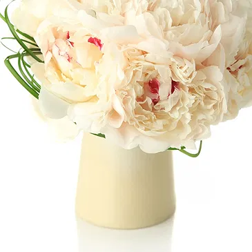 Bondo flowers  -  Wedding Bouquet of White Peonies Flower Bouquet/Arrangement