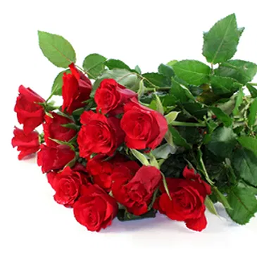 Italy flowers  -  Bunch of Red Roses and Soft Toys Flower Bouquet/Arrangement