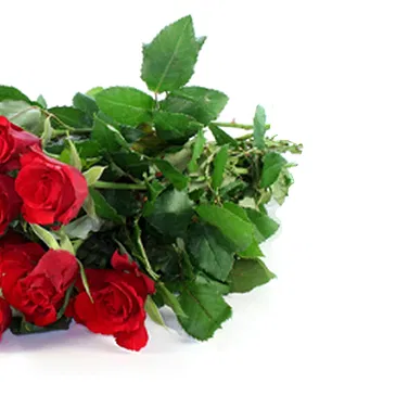 Italy flowers  -  Bunch of Red Roses and Soft Toys Flower Bouquet/Arrangement