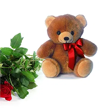 Italy flowers  -  Bunch of Red Roses and Soft Toys Flower Bouquet/Arrangement