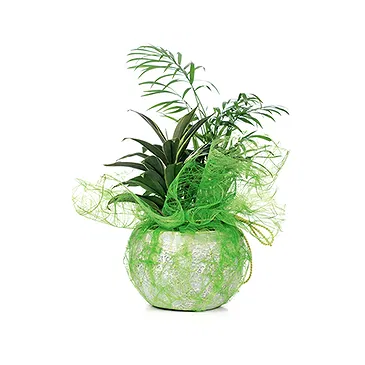 Vignone flowers  -  Composition of Green Plants Flower Bouquet/Arrangement