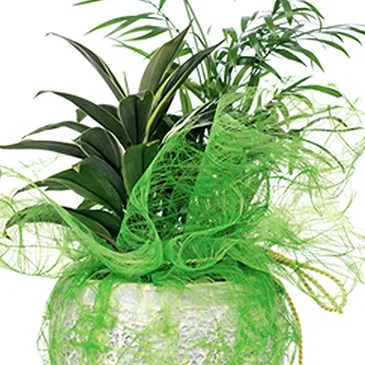Vignone flowers  -  Composition of Green Plants Flower Bouquet/Arrangement