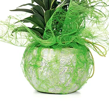 Vignone flowers  -  Composition of Green Plants Flower Bouquet/Arrangement