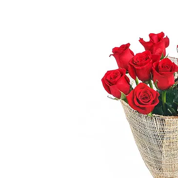 Italy flowers  -  12 Red Roses Flower Bouquet/Arrangement