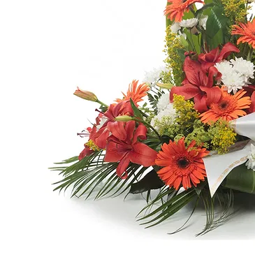 Mira flowers  -  Flower Arrangement for The Dead Flower Bouquet/Arrangement