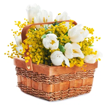 San Marino flowers  -   Flower Bouquet/Arrangement