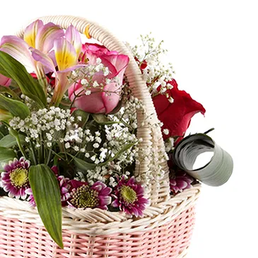 Florence kvety- Košík ruží a alstroemeria Aranžovanie kytice