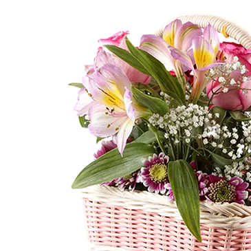 Florence kvety- Košík ruží a alstroemeria Aranžovanie kytice