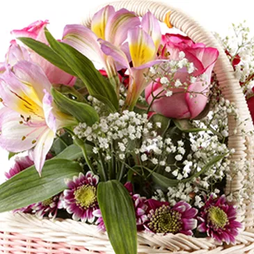 Florence kvety- Košík ruží a alstroemeria Aranžovanie kytice