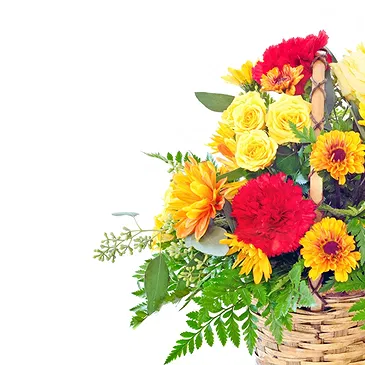 Italy flowers  -  Beautiful Yellow and Orange Flower Basket Flower Bouquet/Arrangement
