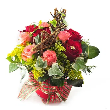 San Marino flowers  -  Composition of Red and pink Roses in Vase Flower Delivery