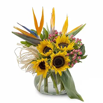 San Marino flowers  -  Composition of Sunflowers and Sterling's Delivery