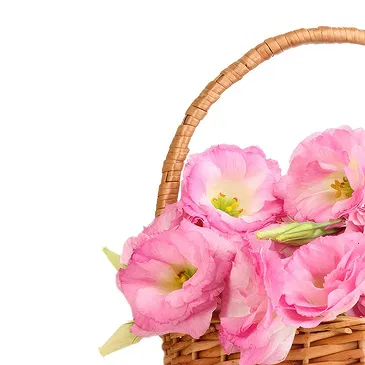 Italy flowers  -  Basket of Pink Roses for Birth Flower Bouquet/Arrangement