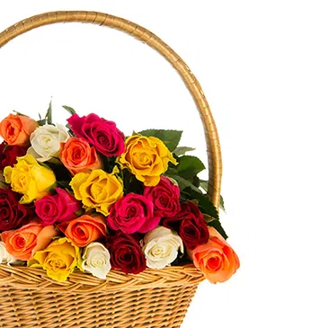 fiorista fiori di Firenze- Cesto con rose colorate Bouquet floreale